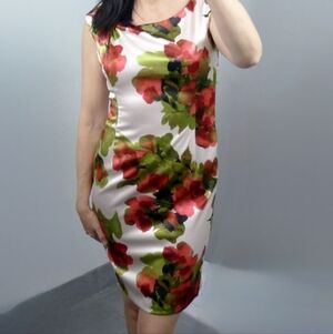 Evan Picone Watercolor Dress